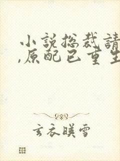 小说总裁请勿扰,原配已重生免费阅读