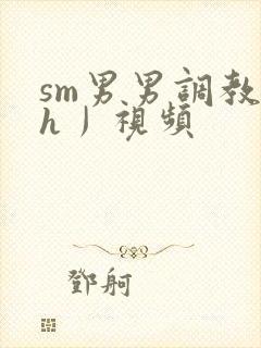 sm男男调教〈h丿视频