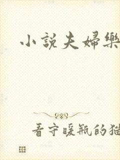 小说夫妇乐园