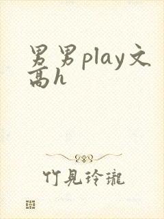 男男play文高h封面