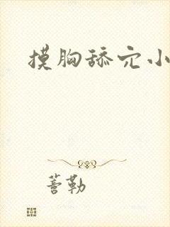 摸胸舔穴小说