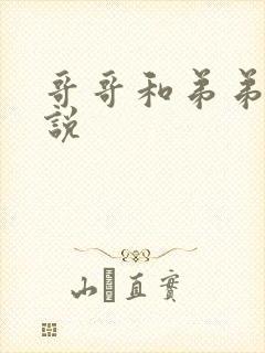 哥哥和弟弟h小说封面
