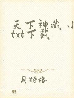 天下神藏 小说txt下载封面