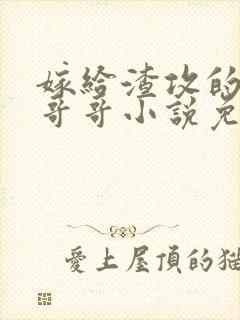 嫁给渣攻的反派哥哥小说免费