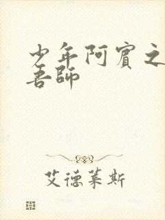 少年阿宾之吾爱吾师封面