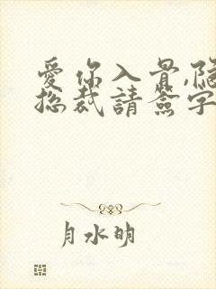 爱你入骨,隐婚总裁请签字 小说