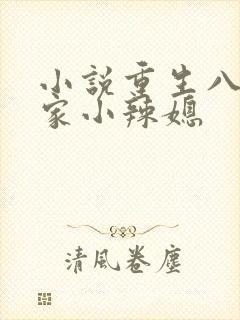 小说重生八零当家小辣媳