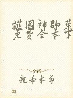 护国神帅叶无道免费全本下载