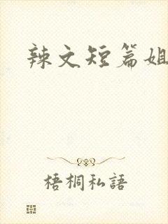 辣文短篇姐夫