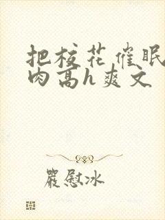 把校花催眠了纯肉高h爽文封面