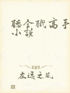 听全职高手有声小说封面