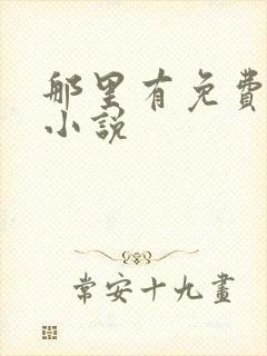 那里有免费阅读小说