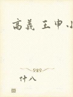 高义 王申小说