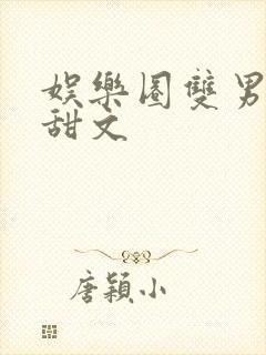 娱乐圈双男主文甜文
