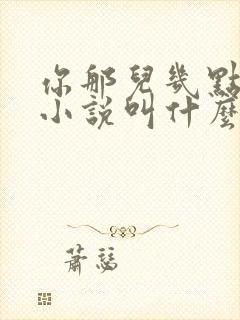 你那儿几点原著小说叫什么