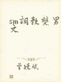 sm调教双男主文