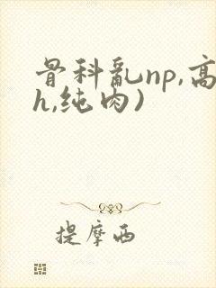 骨科乱np,高h,纯肉)