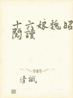 十六娘魏昭原著阅读封面