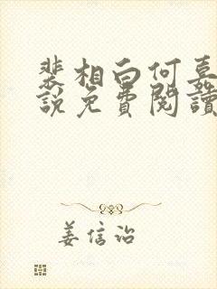 裴相白何嘉柔小说免费阅读封面