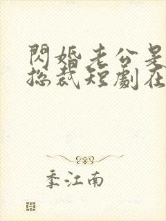 闪婚老公是亿万总裁短剧在线观看