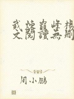 武炼巅峰杨开全文阅读无删减