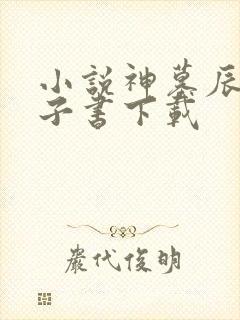 小说神墓辰东电子书下载