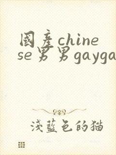 国产chinese男男gaygay xnxx