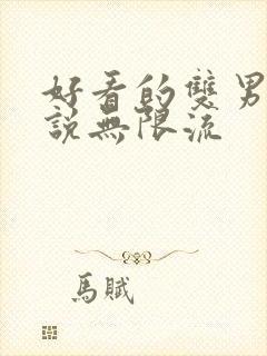 好看的双男主小说无限流