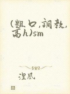 (粗口,调教,高h)sm封面