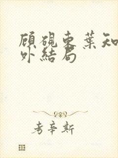顾砚东叶知安番外结局