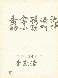乔念顾略沈方诚的小说叫什么
