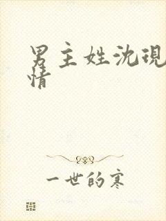 男主姓沈现代言情