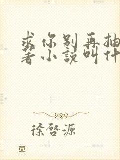 求你别再抽了原著小说叫什么