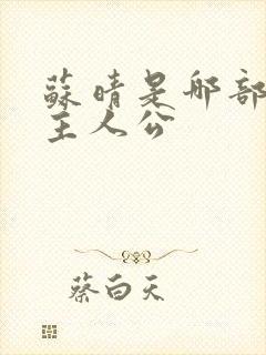 苏晴是哪部小说主人公封面