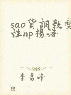 sao货调教双性np杨洛