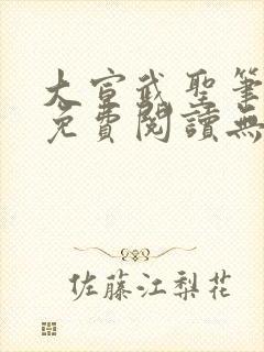 大宣武圣笔趣阁免费阅读无弹窗