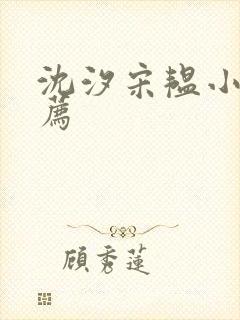 沈汐宋韫小说推荐封面