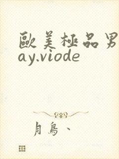 欧美极品男男gay.viode