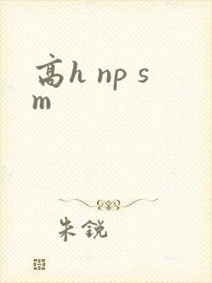 高h np sm