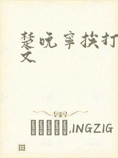 楚晚宁挨打训诫文封面