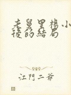 老舅里杨小姐最后的结局