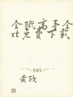 全职高手全集txt免费下载