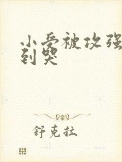 小受被攻强制爱到哭
