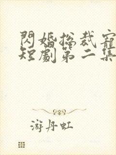 闪婚总裁宠上天短剧第二集在线观看
