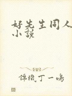 好先生同人改编小说