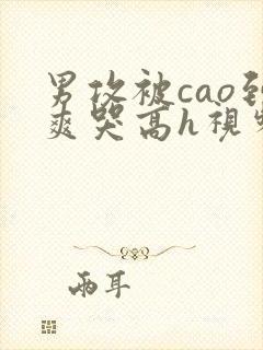 男攻被cao到爽哭高h视频