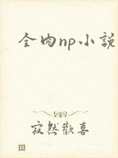 全肉np小说