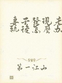 妻子发现老公出轨后怎么办封面