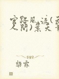 官路风流(天上人间)叶天笔趣阁无弹窗封面