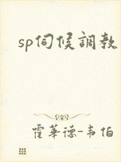 sp伺候调教文